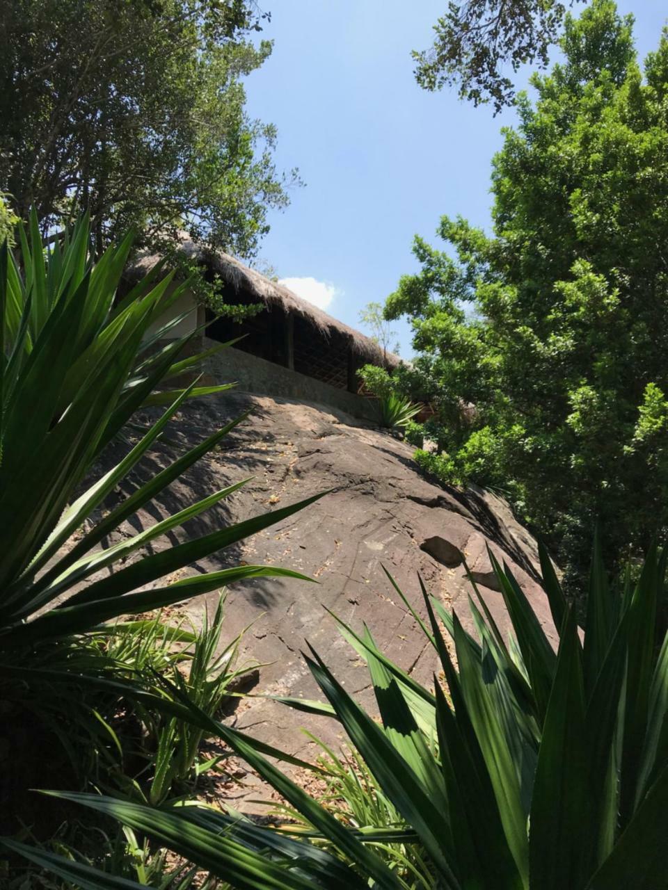 Galapita Eco Lodge Buttala Dış mekan fotoğraf
