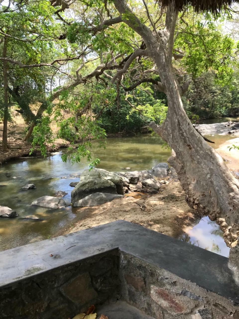 Galapita Eco Lodge Buttala Dış mekan fotoğraf