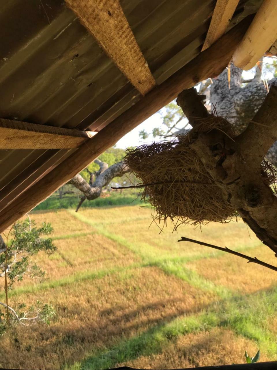 Galapita Eco Lodge Buttala Dış mekan fotoğraf