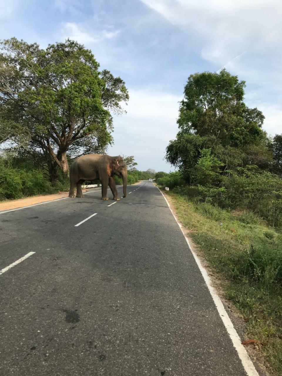 Galapita Eco Lodge Buttala Dış mekan fotoğraf