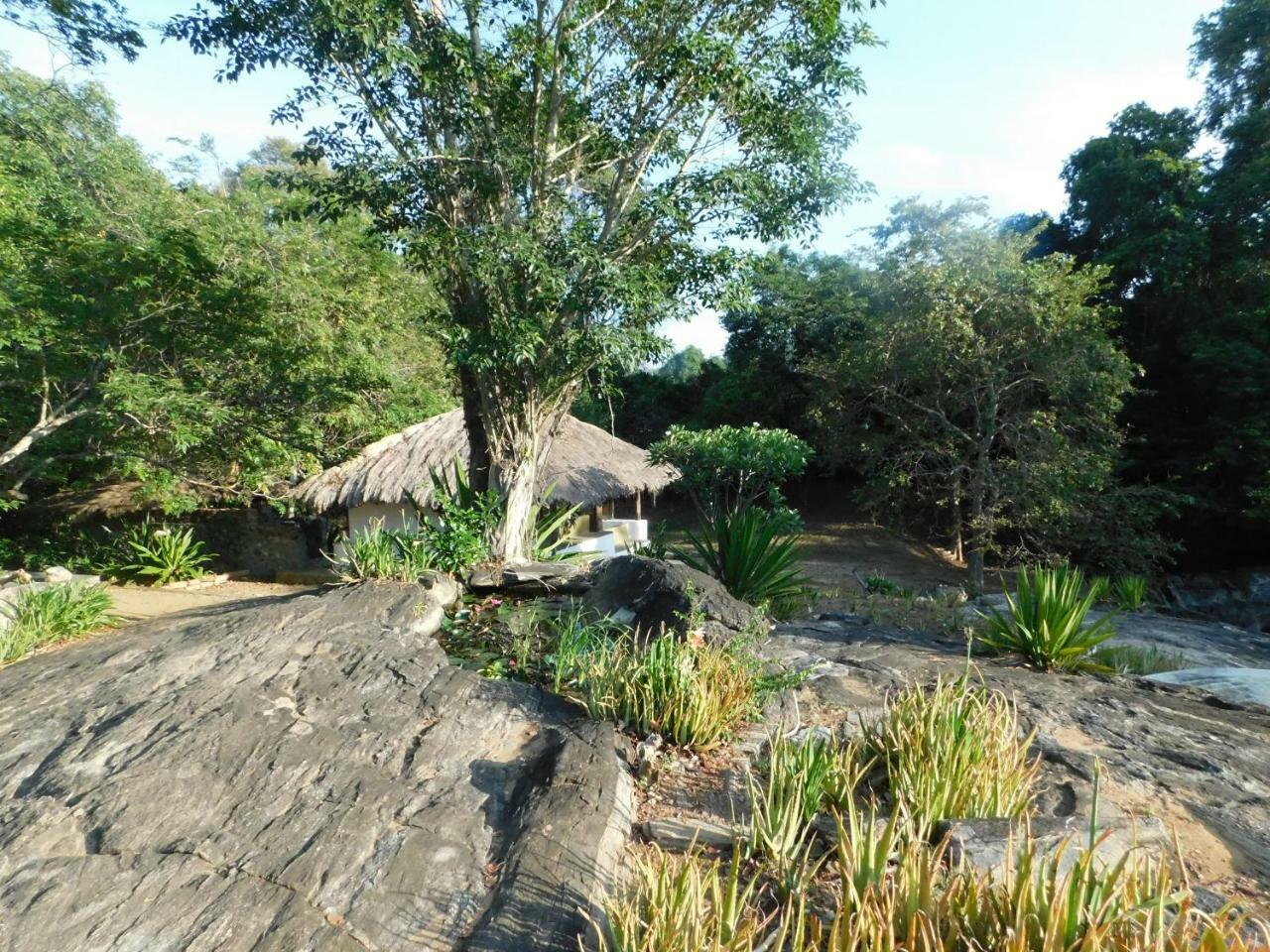 Galapita Eco Lodge Buttala Oda fotoğraf
