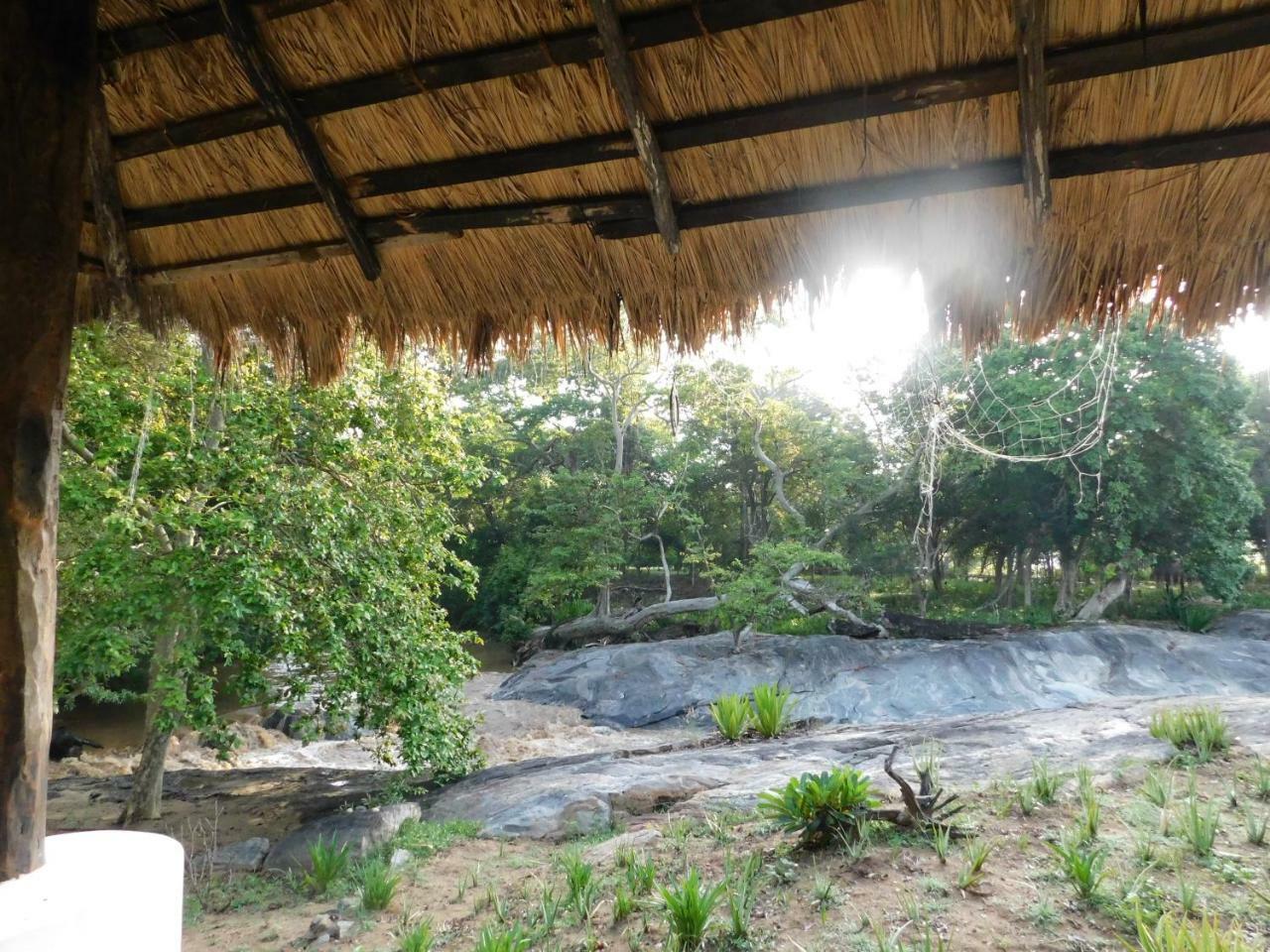 Galapita Eco Lodge Buttala Oda fotoğraf