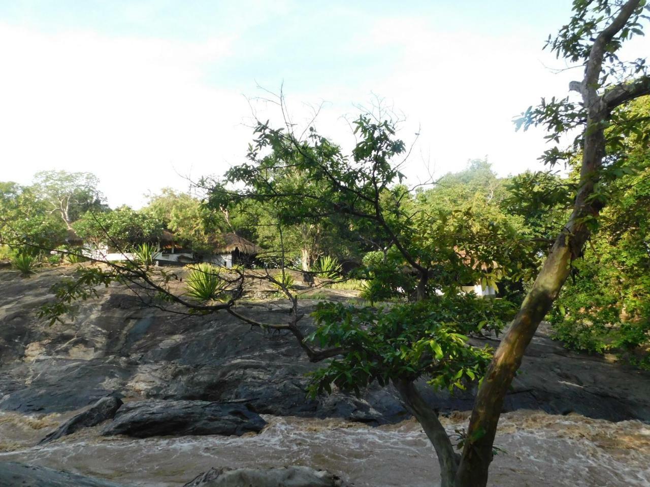 Galapita Eco Lodge Buttala Oda fotoğraf