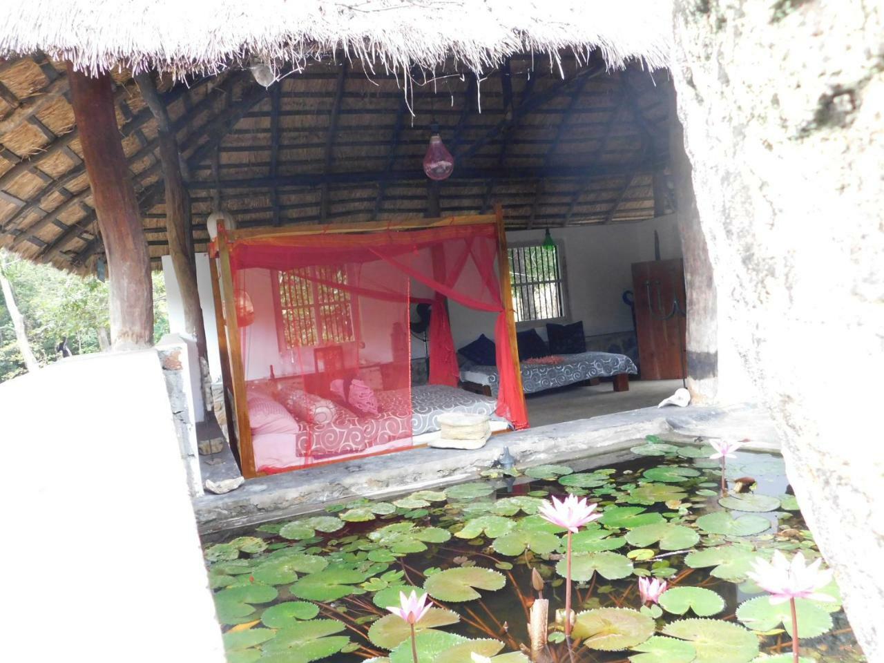 Galapita Eco Lodge Buttala Dış mekan fotoğraf