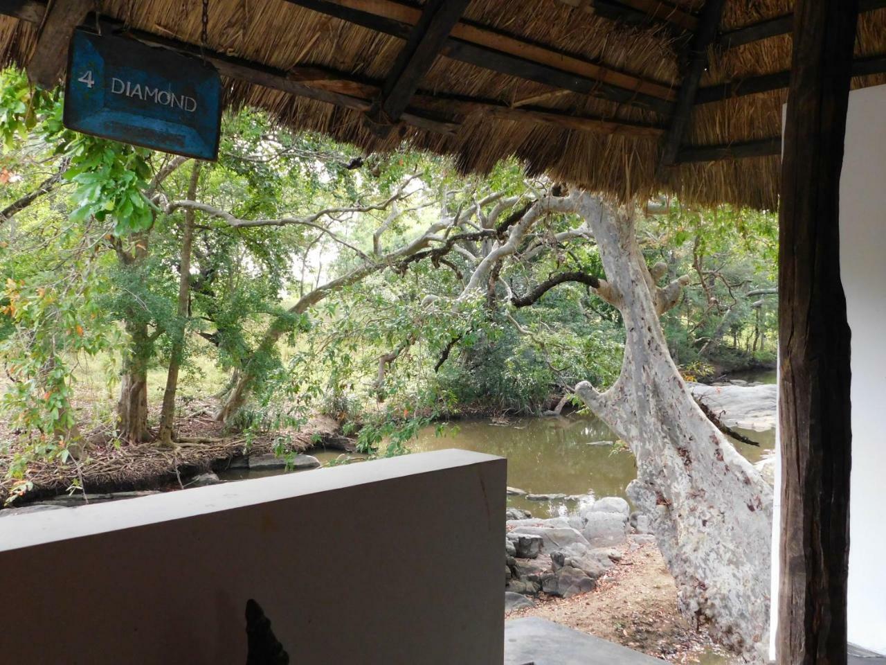 Galapita Eco Lodge Buttala Oda fotoğraf