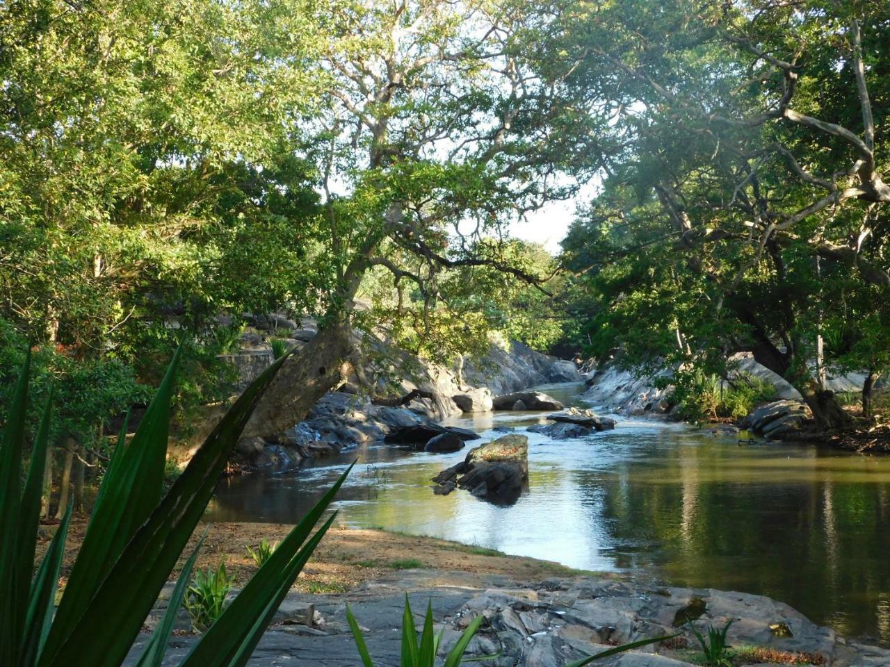 Galapita Eco Lodge Buttala Dış mekan fotoğraf