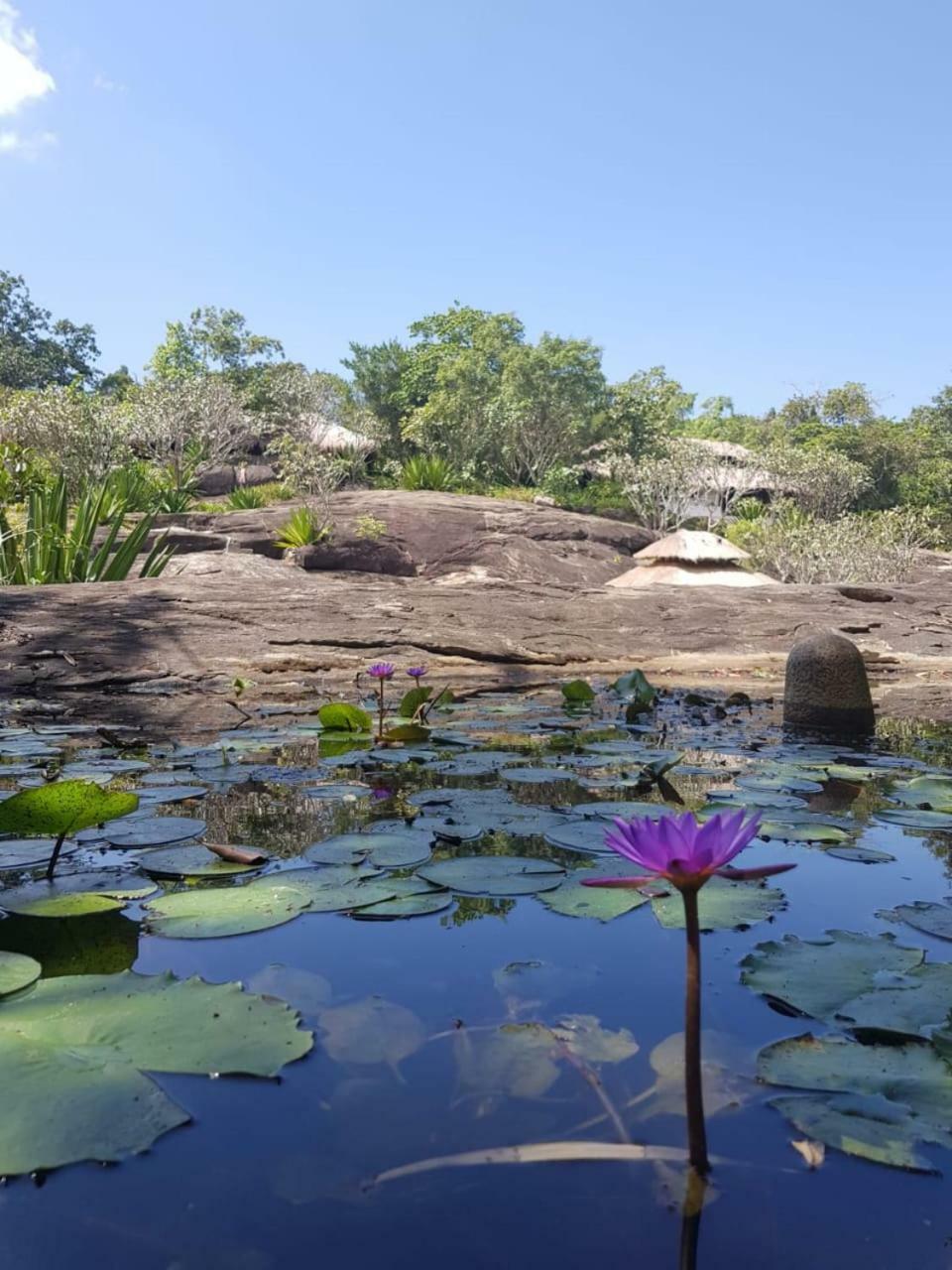 Galapita Eco Lodge Buttala Dış mekan fotoğraf
