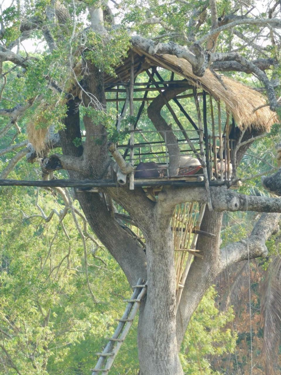 Galapita Eco Lodge Buttala Dış mekan fotoğraf